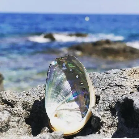 Apartamento Sensational With Panoramic Views Llançà